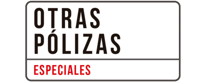 directivos